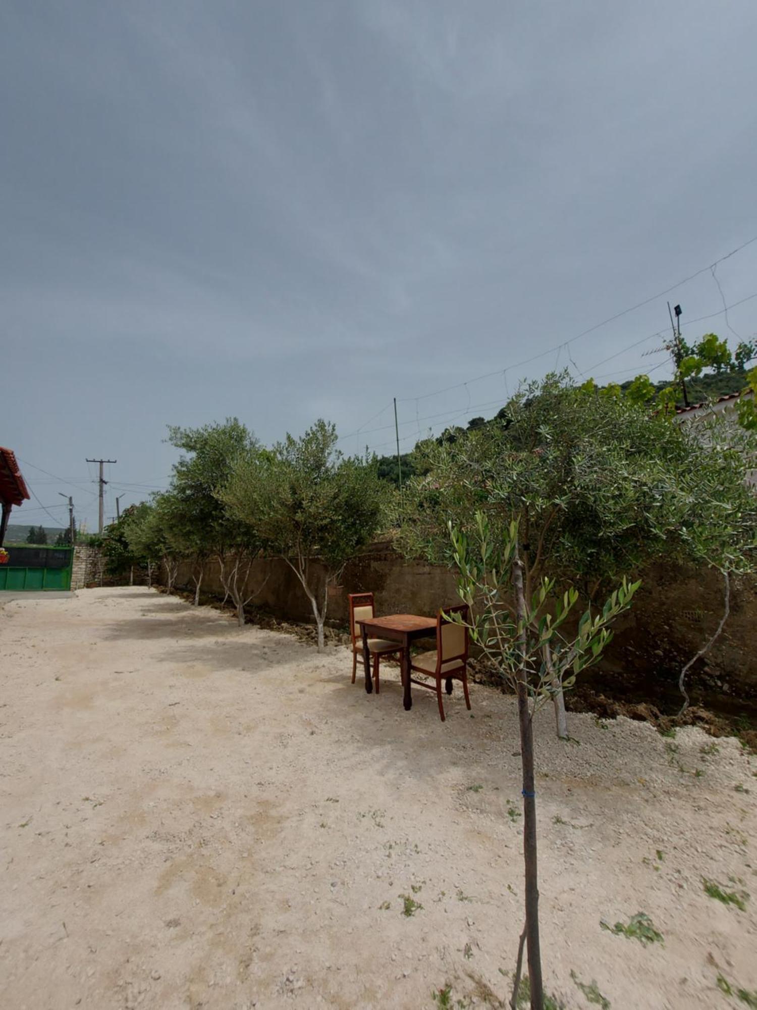 Guest House Irvin Berat Dış mekan fotoğraf
